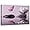 Pink, variant on ZHONGYUTONG Zen Wall Art Canvas Lotus Flower and Pink Butterfly Pictures Spa Stones Painting Meditation Spiritual Bathroom Wall Decor Framed (12.00" x 18.00")