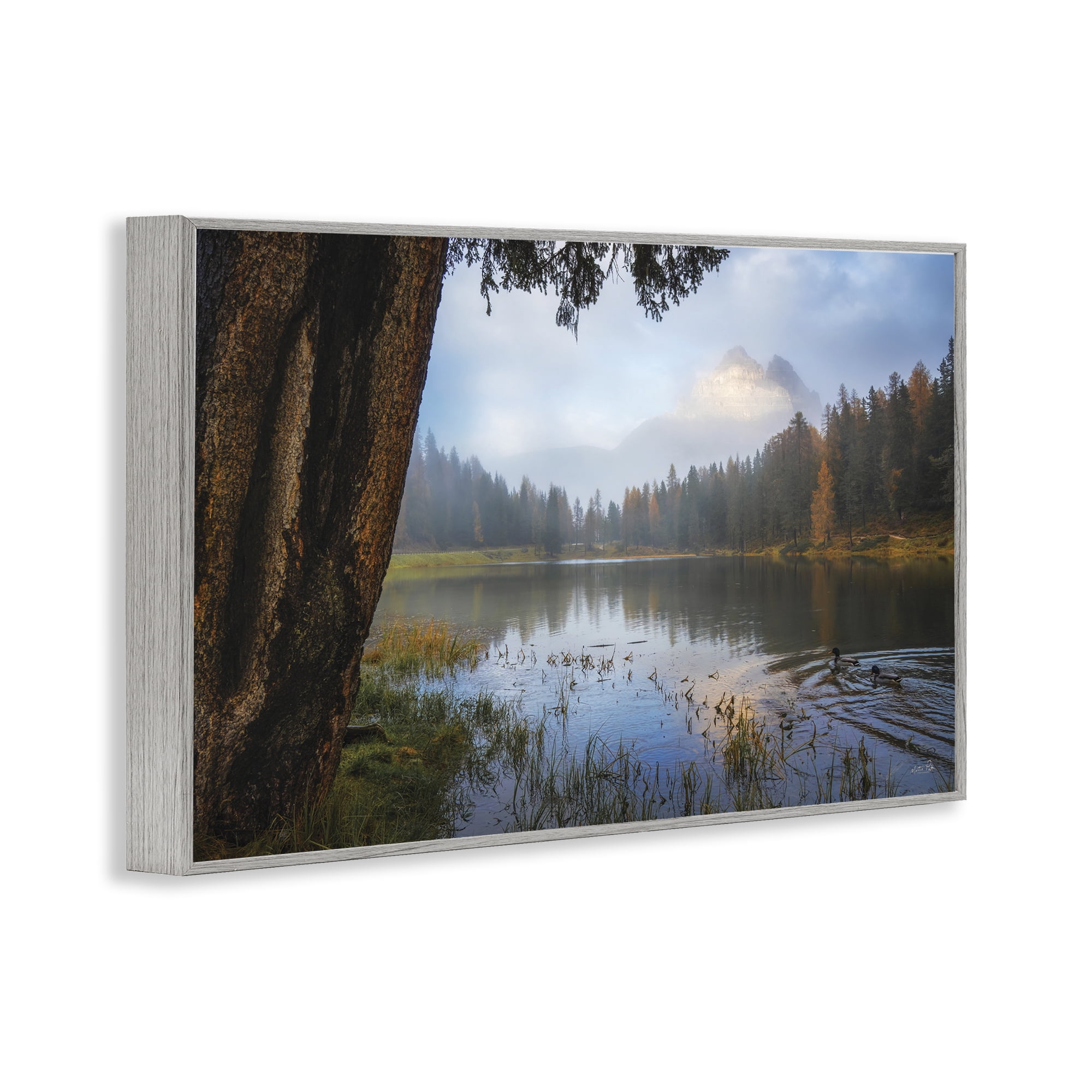 Stupell Industries Autumn Forest Reflections Gray Framed Giclee Art, design by Martin Podt