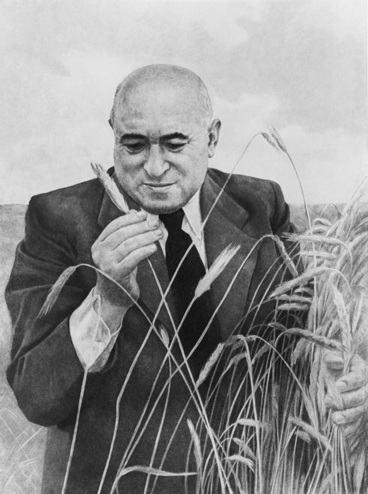 Матьяш ракоши. Ракоши Матьяш 1956 года. Портрет Ракоши. Матьяш Ракоши в поле.