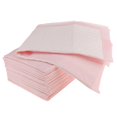 thumbnail image 1 of CNKOO Disposable Incontinence Bed Pads Mattress Protection Sheet 45 x 33cm Blue, 1 of 8