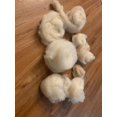 thumbnail image 4 of 8oz. Carded Natural Sheep Wool Hand Washed Clean Soft, 4 of 9