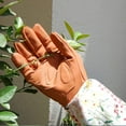 Long Gardening Gloves Women Ladies Thorn Proof Pruning Garden Gloves