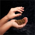 thumbnail image 4 of Crave Grain Free Adult Dry Dog Food With Protein From Beef, 12 Lb. Bag, 4 of 9