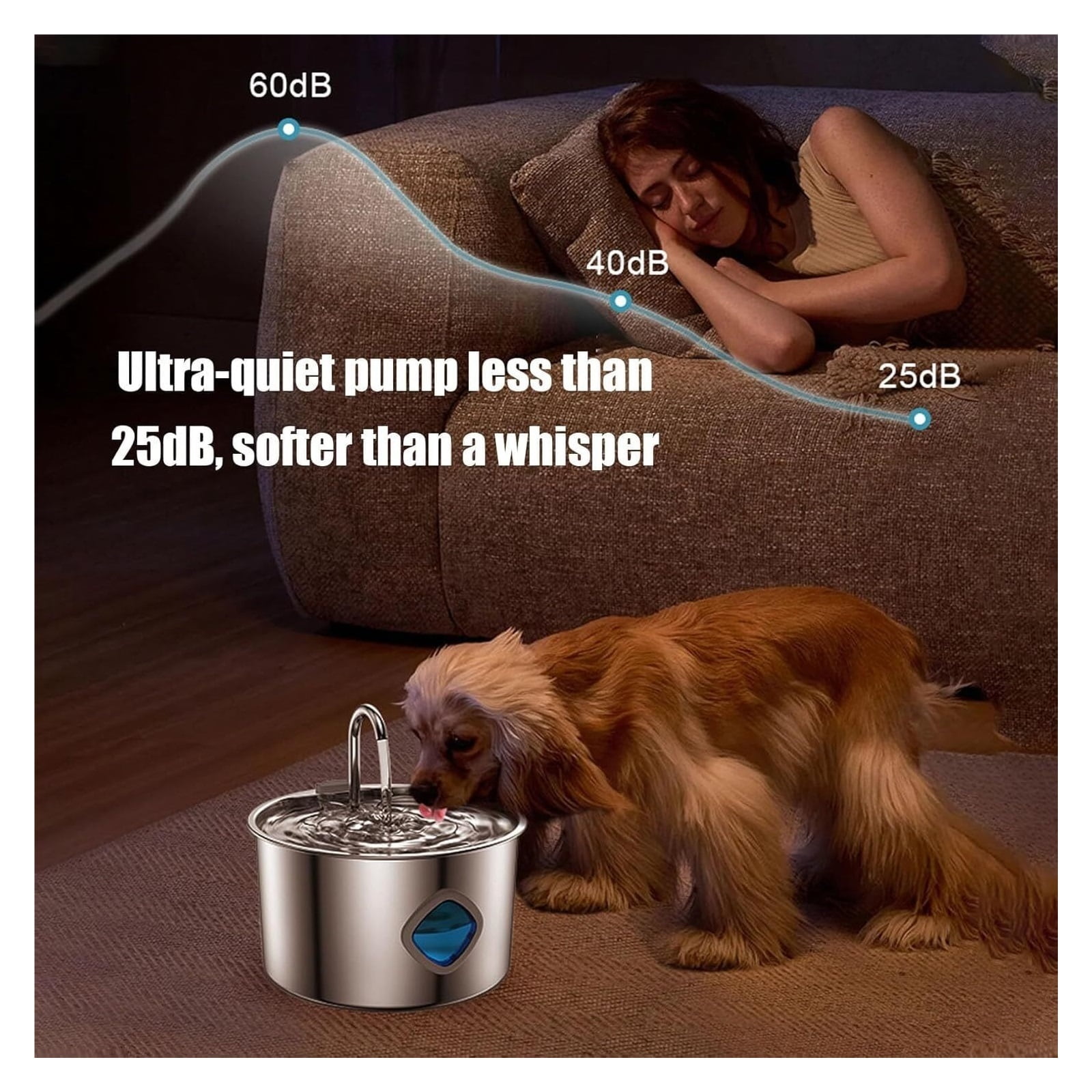 Dog Water Fountain, Stainless Steel Powdered Water Fountain,Large Capacity, Circulation Filtration