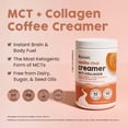 thumbnail image 4 of NativePath Vanilla Chai Keto Coffee Creamer with Collagen and MCT, Sugar-Free Non-Dairy, 20 Servings, 4 of 10