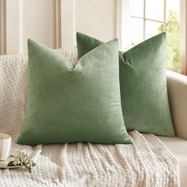 Cterwk - Funda de cojín cuadrada de terciopelo supersuave, decorativa, para cama, sofá, 61 x 61 cm, juego de 2