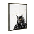 thumbnail image 3 of Stupell Industries Contemporary Geometric Owl Shapes Graphic Art Luster Gray Floating Framed Canvas Print Wall Art, Design by K. Kaufman, 3 of 8