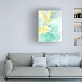 thumbnail image 3 of Jennifer Goldberger 'Forsythia Dreams I' Canvas Art, 3 of 3
