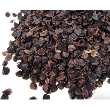 Natural Premium Organic Buckwheat Hulls - 20 Pounds