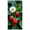 3A, variant on Strawberry Daisy Themed Background Banner Party Decorations Backdrop for Picnics Outdoor Gatherings Photo Shoots Celebrations