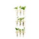 thumbnail image 1 of Tubos de Propagación de Plantas de 3 Niveles Mini Tubo de Ensayo Florero Maceta de Vidrio para Corte de Plantas Hidropónicas Hogar Jardín Decoración de Oficina Regalo ANGGREK  Otros, 1 of 8