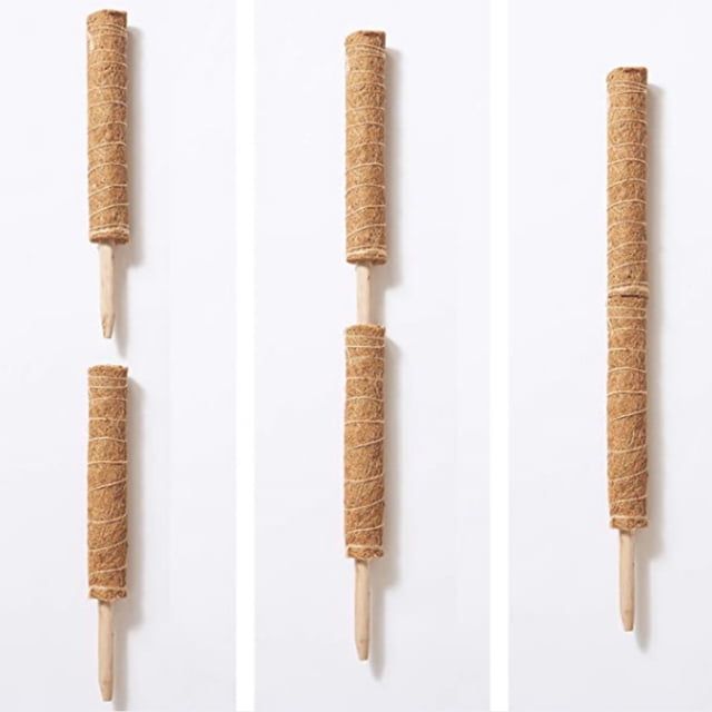 Coir Totem Pole Moss Stick Fibra Planta Trepadora Soporte Totem Pole Irfora 1 piezas