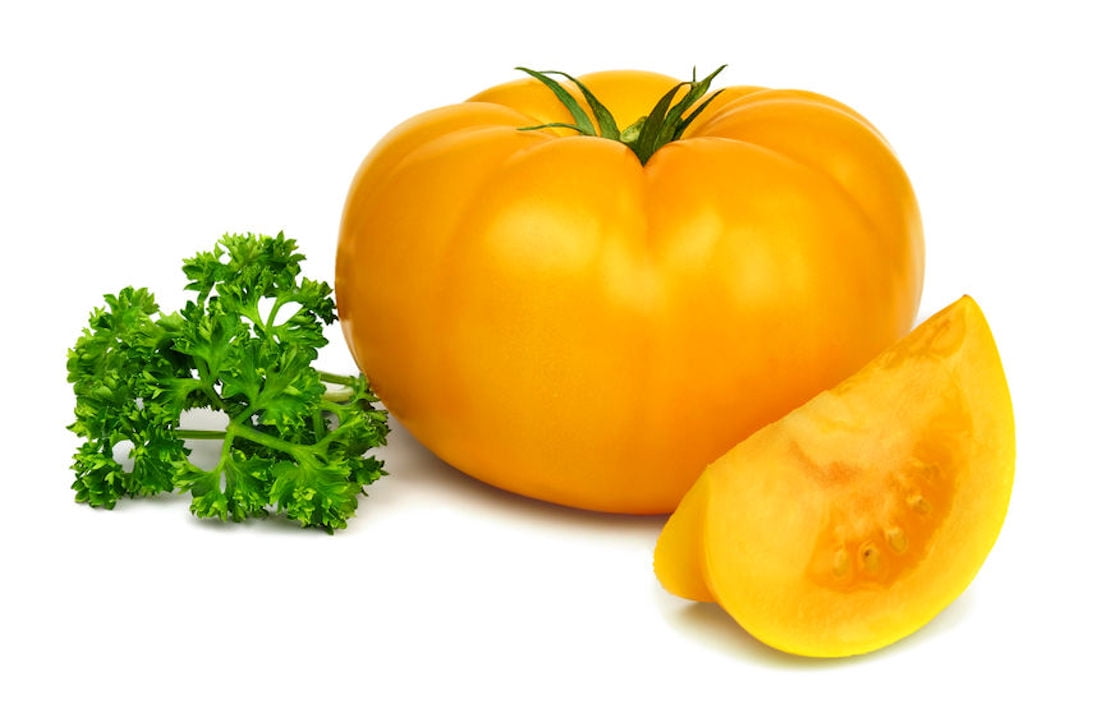 10/100 Seeds Tomato Brandywine Yellow Rich Flavor Ambitious Sweet Big Fruit