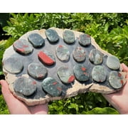 Bloodstone Pocket Palm Stone MEDIUM (Smooth Polished Bloodstone Worry Stone)