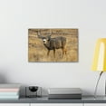 thumbnail image 4 of Majestic Buck Art Majestic Buck Print Animal Wall Art Wildlife Canvas Prints Wall Art Ready to Hang Unframed, 4 of 18