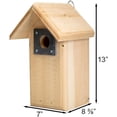 thumbnail image 3 of Coveside Backyard Bird House - Wooden Pine Nesting Box with 1.5" Entry Hole, Slate Predator Guard & Side Access - Durable Outdoor Birdhouse for Bluebirds, Wrens, Chickadees & More - Made in USA, 3 of 8