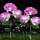 thumbnail image 3 of Luces solares de jardín con estaca para decoración de paisajes, patios y macizos de flores | Luces de hortensias para exteriores que cambian de color con tallos ajustables, 3 of 7