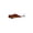 C#019, variant on VIB Hard Bait 6.7cm 12g Floating Fishing Lure for Freshwater Bass Perch with Triple Hook System Metal Construction Slow Sinking Action for Lake River Reservoir Anglers 2 Pack