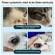 thumbnail image 4 of Pet Corneal Inflammation Eye Ointment Eye Gel for Dog Cat Eye Treat, 4 of 4