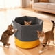 thumbnail image 5 of Bolsa de juego para gatos, centro de actividades, cueva para gatitos aburridos, alfombra de juego para gatos adultos, túnel plegable para gatos para, 5 of 8