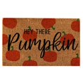 thumbnail image 1 of Big Sale ! Nomeni Carpet,Polyester Carpet,Decor Welcome Mat Pumpkin Doormat Door Rug Mat Fall Decor Pumpkin Fall Decor, 1 of 9