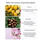 thumbnail image 4 of Xihbxyly Set de Bolas de Baño de Flores Secas, Bombas de Baño Antiestrés, con Infusión de Sal Marina Natural, para Usar En Pies y Cuerpo Entero, Experiencia Relajante En Aguas Termales, 12 Colores, 1, 4 of 7