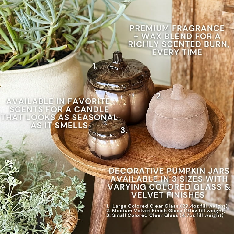 Better Homes & Gardens Pumpkin Snickerdoodle Swirl Scented 2-Wick