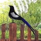 thumbnail image 3 of Pájaro de simulación de urraca, artesanías de pájaros artificiales, figuras de pájaros realistas para arte de jardín 23cm, 3 of 8