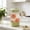 🔥 Green, variant on Sentmoon Juices Pitcher Pitcher Cold Water Kettle Plastic Striped Transparent Cool Tea Kettle Restaurant Hot and Cold Milk