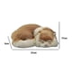 thumbnail image 5 of Gato de peluche realista durmiendo, piel sintética, tamaño real, animal de casa peludo Fvh, 5 of 5