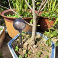 thumbnail image 3 of Bsvklp Riego Por Goteo en Forma Transparente para Plantas PVC para Interiores (gris), 3 of 6