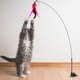 thumbnail image 4 of Reemplazo de ángulo de gato de juguete de repuesto de Teaser de gusano de gato, 4 of 5