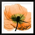 thumbnail image 2 of Art.com Poppy Orange Photographic Print by Albert Koetsier, Black Frame Wall Art, 38" x 38", 2 of 5