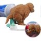 thumbnail image 1 of Hilarious Golden Retriever Puppy Poop Toothpaste Dispenser, Funny Toothpaste Dispenser, Pooping Dog Butt Toothpaste Topper, Golden Retriever Poop Toot, 1 of 5