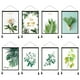 thumbnail image 5 of Planta verde decoración pintura hoja lienzo arte cartel foto fondo tela impresión pared imagen decoración del hogar tipo 16 Vogacara HA8759-06B, 5 of 6