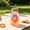 Purple, variant on Glass Water Cup with Lid and Straw, Butterfly Decoration Drinking Tumbler, Reusable Beverage Cup for Coffee Juice Milk Tea, Leak Resistant Portable Cup for Home Office Travel Outdoor Picnic