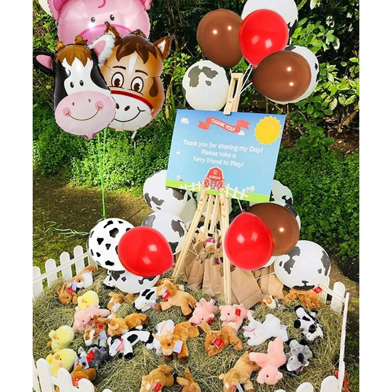 Farm Animal 1st Birthday Party Decorations for Girls Boys - Animal