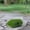 C, variant on Z52LingLing Decoration Small Moss-Covered Stone Decor C - Realistic Artificial Landscape Element for Terrarium, Garden, Diorama, or Desktop