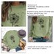 thumbnail image 4 of Sudadera de manga larga para mujer con estampado de diente de león, cuello redondo, manga larga, informal, suelta, sudadera, 4 of 5