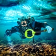 thumbnail image 2 of Professional Waterproof Metal Detector 30M Pulse Underwater Pointer Diving Handheld Gold Finder-Orange, 2 of 6