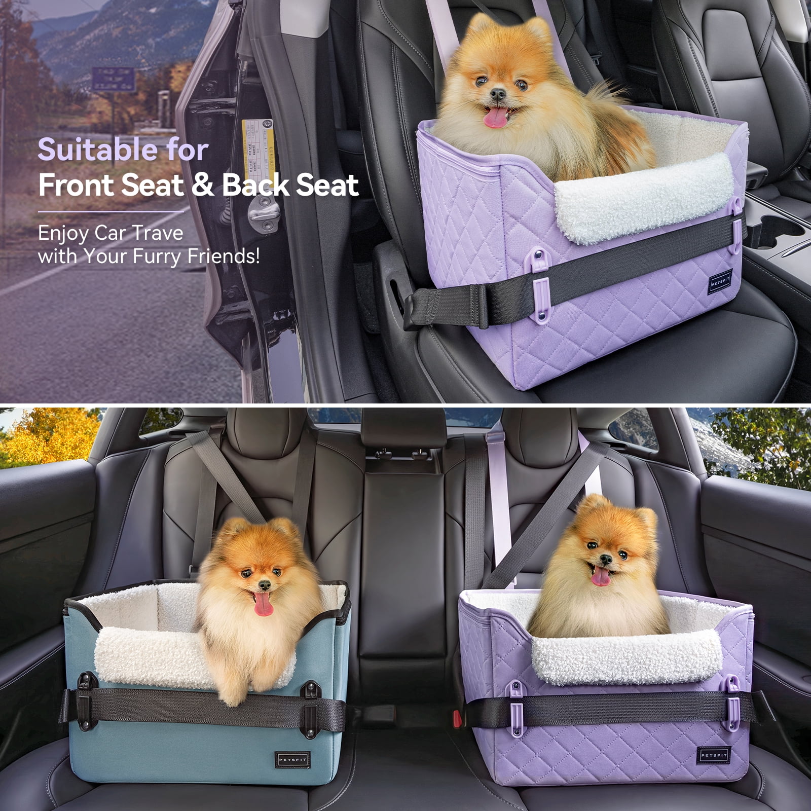 PETSFIT Small Dog Car Seat, Puppy Portable Dog Booster seat for Car with Clip-On Leash, Adjustable Straps Suitable for Small Pets Up to 25lbs (Lavender Purple)