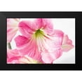 thumbnail image 2 of Coppel, Anna 24x17 Black Modern Framed Museum Art Print Titled - Paradise Blooms, 2 of 5