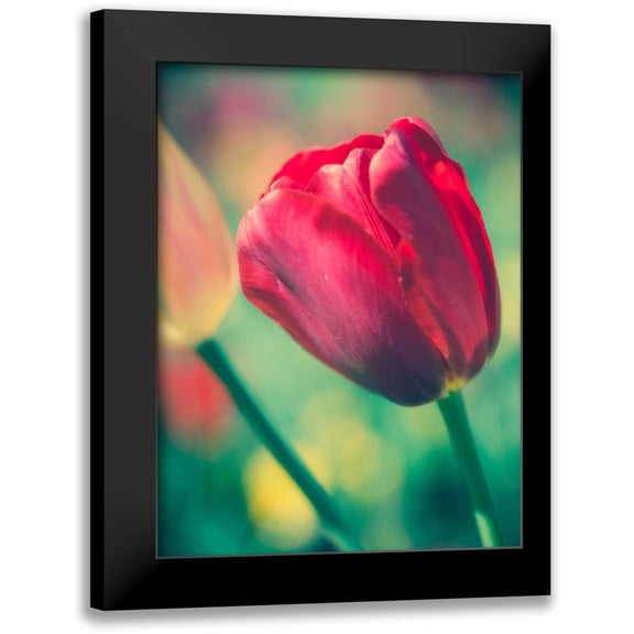 Quintero, Sonja 12x14 Black Modern Framed Museum Art Print Titled - Tulip Sway II