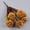 Brown, variant on Zukuco 4 Pcs Orange Artificial Marigold Flowers Bulk Ball Flowers Bouquets Plastic Hydrangea Silk Flowers Arrangement for Halloween Home Party Decoration (Orange)