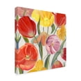 thumbnail image 2 of Trademark Fine Art 'Sandys Spring Mix I' Canvas Art by Sandra Iafrate, 2 of 4