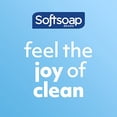 thumbnail image 4 of Softsoap Clean &amp; Protect Antibacterial Liquid Hand Soap, Cool Splash Hand Soap, 11.25 Ounce, 6 Pack, 4 of 15