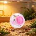 thumbnail image 5 of 5.12‑Inch Transparent Hamster Exercise Running Ball, Small Pet Rolling Toy, Portable Activity Jogging Roller Ball for Dwarf Hamster, Golden Bear Hamster & Gerbil Small‑Animal Play, 5 of 6