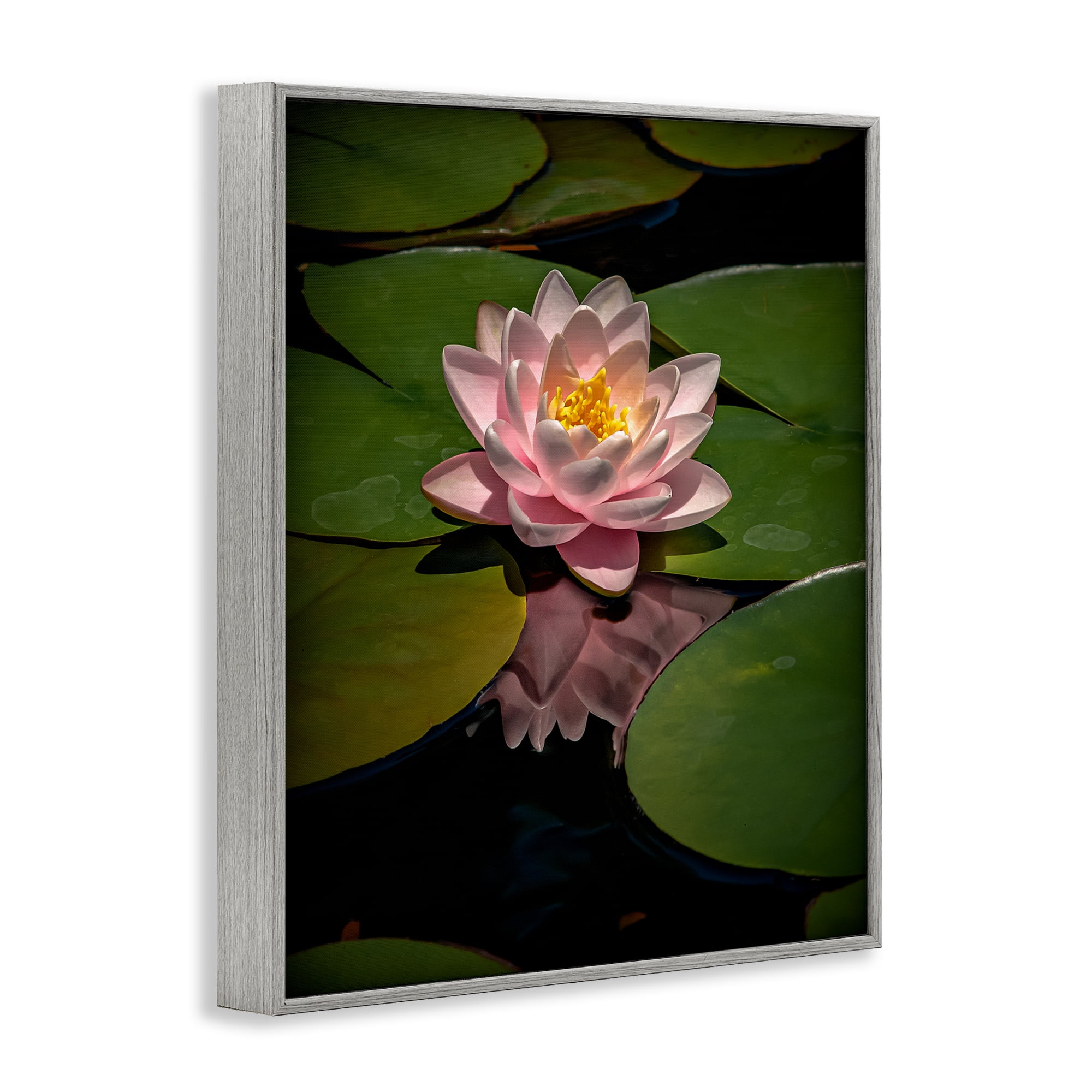 Pink Lotus Among Lily Pads Gray Framed Giclee Art, design by Phillip Flowers