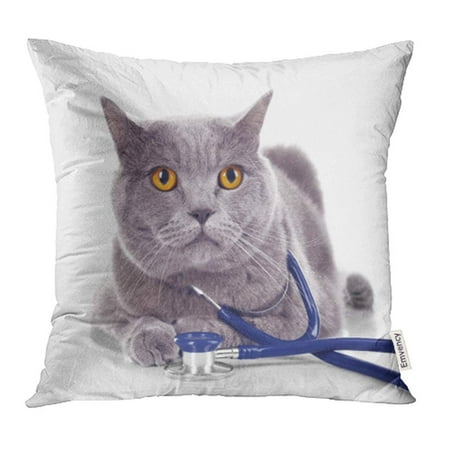 YWOTA Adorable Short Hair Grey Cat with Stethoscope White Animal Beautiful British Care Pillow Cases Cushion Cover 20x20 (Best Way To Cover Gray Hair)