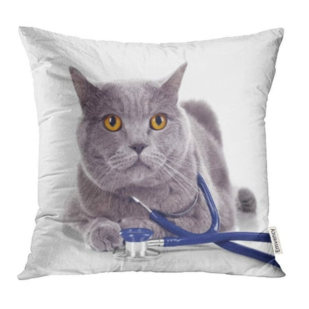 White Shorthair Cat - YWOTA Adorable Short Hair Grey Cat with Stethoscope White Animal Beautiful British Care Pillow Cases Cushion Cover 20x20 inch